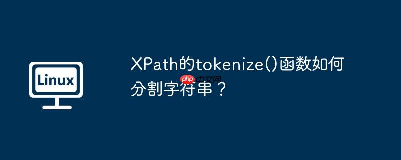 xpath的tokenize()函数如何分割字符串？