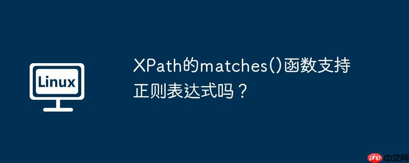 XPath的matches()函数支持正则表达式吗？