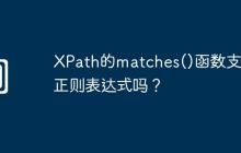 XPath的matches()函数支持正则表达式吗?
