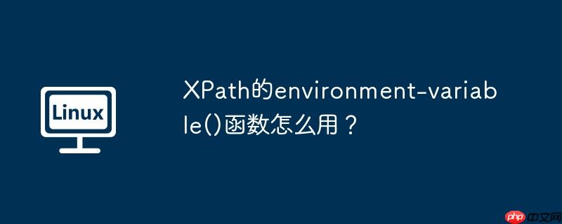 XPath的environment-variable()函数怎么用？