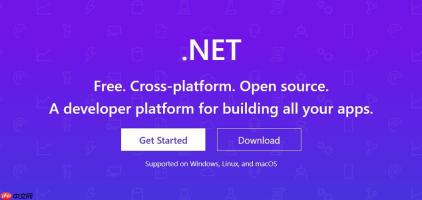 .NET的AssemblyNameFlags枚举如何设置程序集属性？