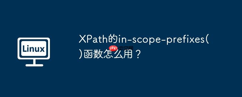 XPath的in-scope-prefixes()函数怎么用？
