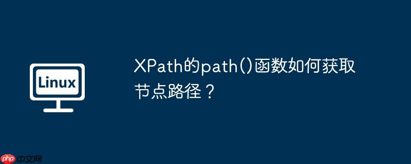 XPath的path()函数如何获取节点路径？-小浪学习网