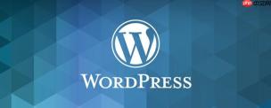 WordPress缓存是什么？怎样启用缓存插件？