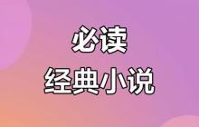 锤子小说app无广告版本免费阅读