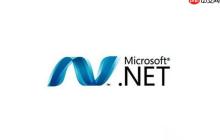 .NET的AssemblyBuilderSaveOptions枚举如何控制保存行为？