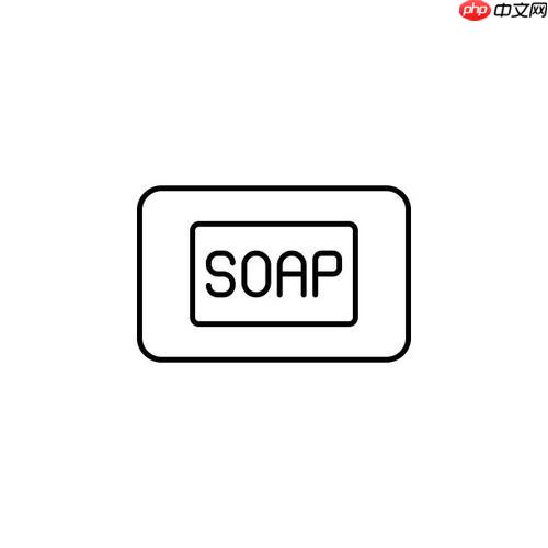 soap服务数据格式?支持二进制吗?