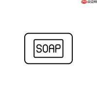 SOAP服务数据格式？支持二进制吗？