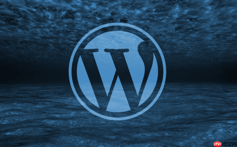 wordpress登录页面是什么？如何自定义登录？