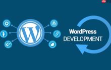 什么是WordPress主题选项?如何配置主题?