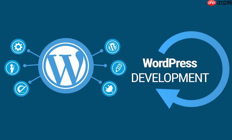 什么是wordpress主题选项?如何配置主题?