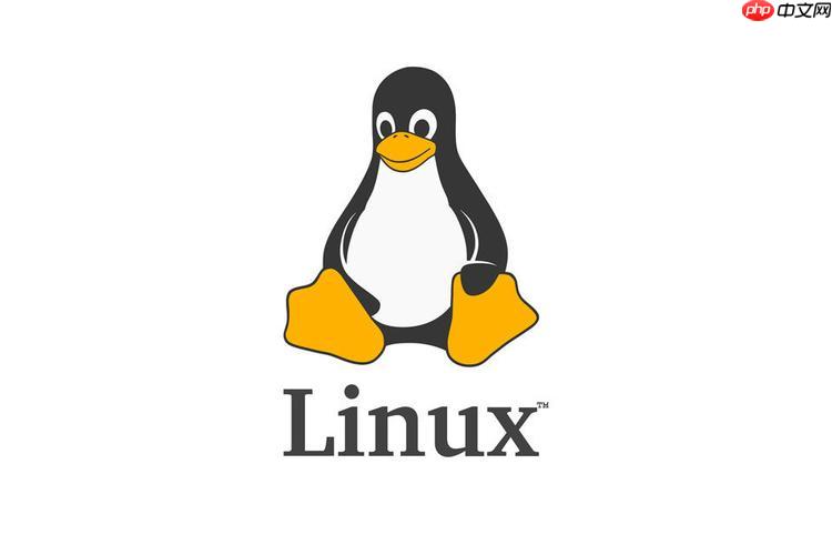 linux中mount的用法 linux中mount怎么用