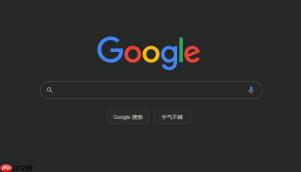 google浏览器下载安卓版下载 google浏览器安卓下载地址