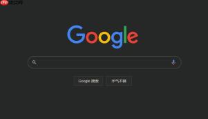 google浏览器官方入口 google浏览器官网入口地址