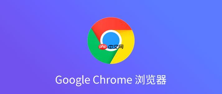 google浏览器官网进入 google浏览器一键直达