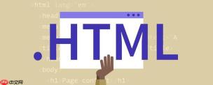 怎么让html内容居中 html如何让内容居中