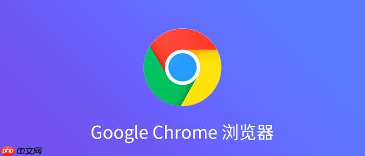 google浏览器网页版入口 google浏览器网页版最新地址