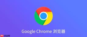 google浏览器网页版入口 google浏览器网页版最新地址
