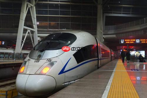 抢不到票的失落,只有异乡人才懂