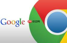 谷歌浏览器入口免登录 谷歌浏览器免登录官网链接