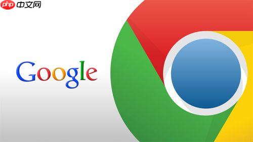 谷歌浏览器入口网页版 Google浏览器网页版官网入口