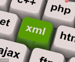 XML格式的医疗影像数据标准