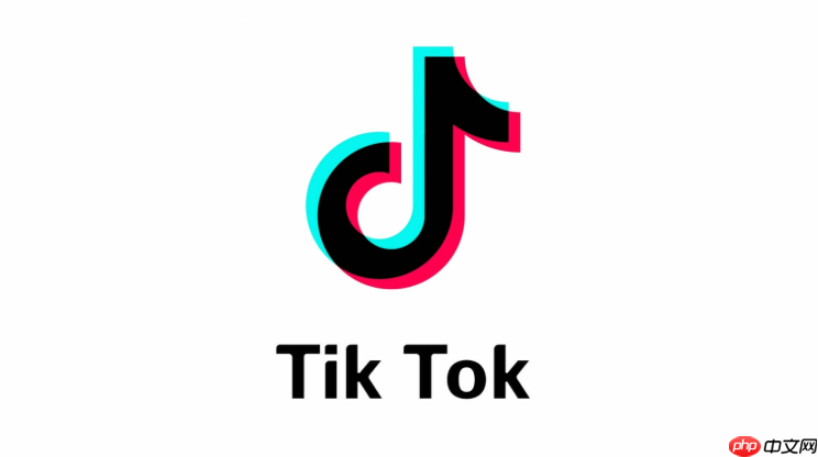 tiktok在线网址入口https TikTok官网链接 tiktok network is out of reach