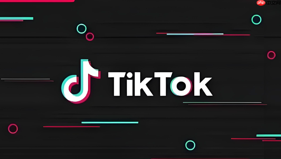 Tiktok官网入口网址  Tiktok官网入口链接
