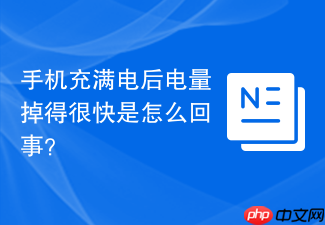 手机充满电后电量掉得很快是怎么回事？