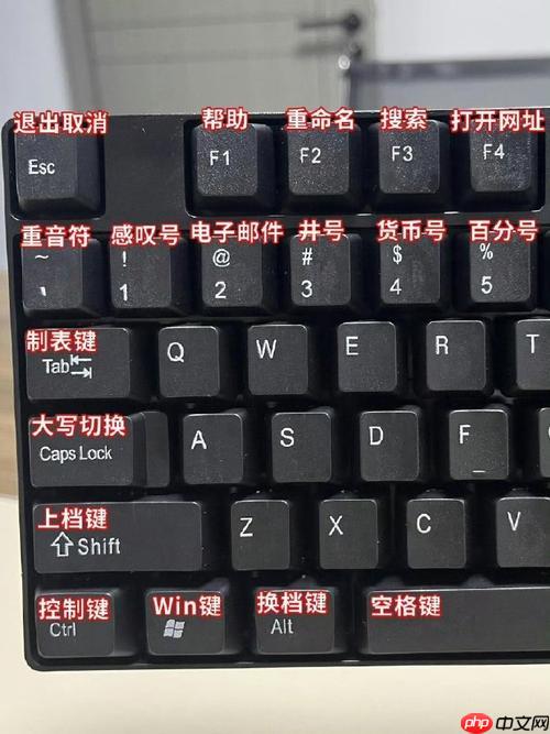 bilibili网页全屏的快捷键是什么?