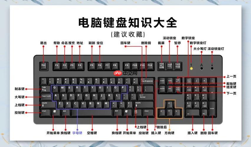 affinity designer软件的常用快捷键
