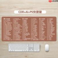 Xshell中复制粘贴的快捷键怎么设置？