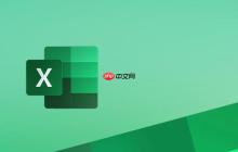 excel数据条怎么用 excel利用数据条实现数据可视化