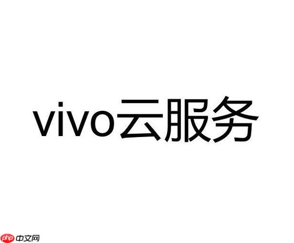 vivo云服务同步是什么意思 什么是vivo云服务同步