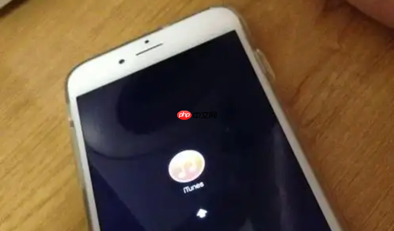 手机屏幕总是自动亮屏怎么办 关闭手机自动唤醒功能的设置