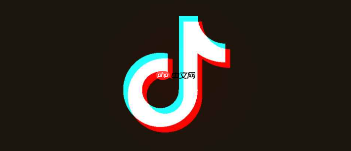 抖音网页版搜索入口_快速查找热门视频和用户