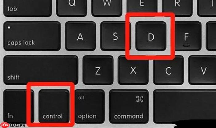 word 常用快捷键组合，排版高手都在用