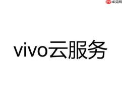 如何查看vivo云服务里的内容 怎么查看vivo云服务备份了什么