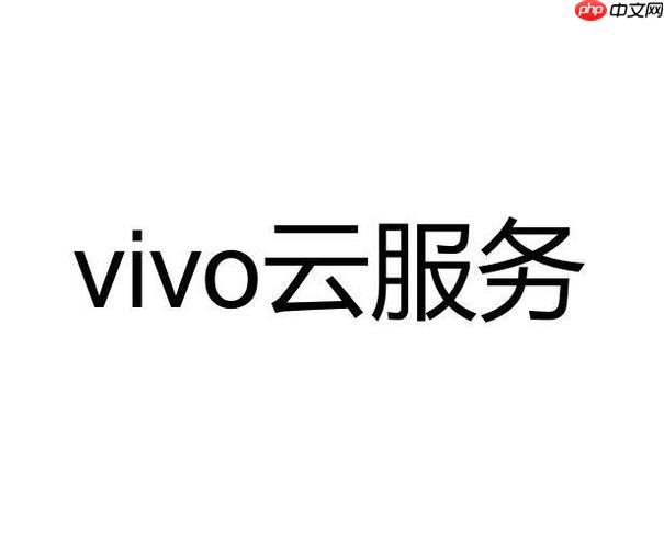 vivo云服务隐私政策是什么 什么是vivo云服务的隐私政策