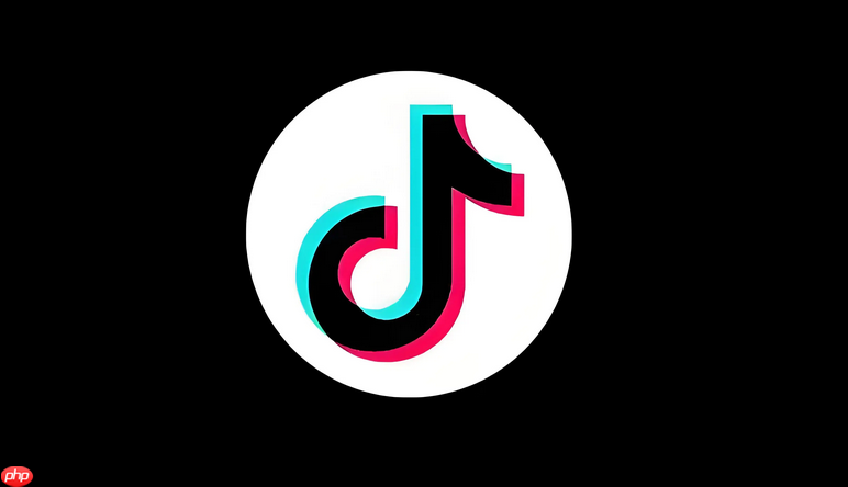 抖音收益来源有哪些 盘点2024年最主流的8种变现方式