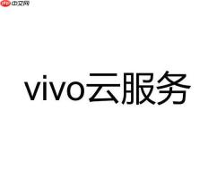 vivo云服务可以存视频吗 vivo云服务能存储视频吗