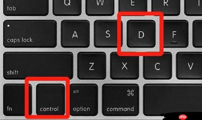 电脑撤销快捷键是什么？一键返回上一步操作