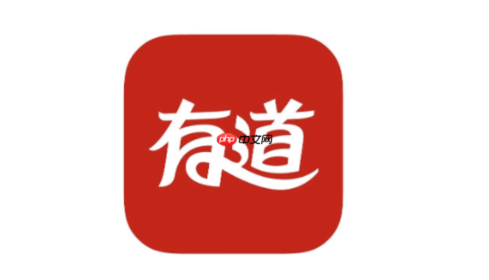 权威词典查询入口 有道词典官网入口