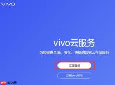 vivo云服务铂金会员多少钱 vivo云服务铂金会员价格