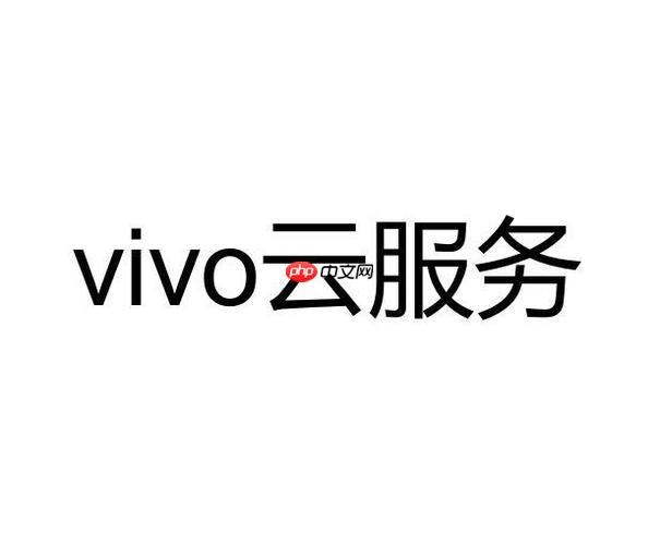 vivo云服务显示网络异常怎么办 怎么办vivo云服务提示网络异常