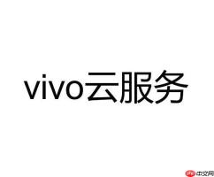 vivo云服务查找手机定位准吗 vivo云服务定位功能准不准