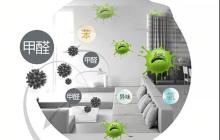 着急入住新房有什么快速除甲醛的方法？ 盘点那些安全又高效的应急方案