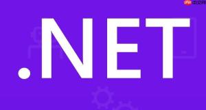 .NET中如何安全地进行密码哈希存储