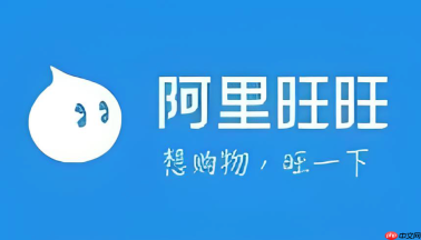 阿里旺旺网页版在线入口 阿里旺旺网页版官方在线入口