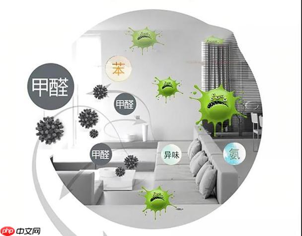 怎么专业除甲醛?教你各种避坑指南